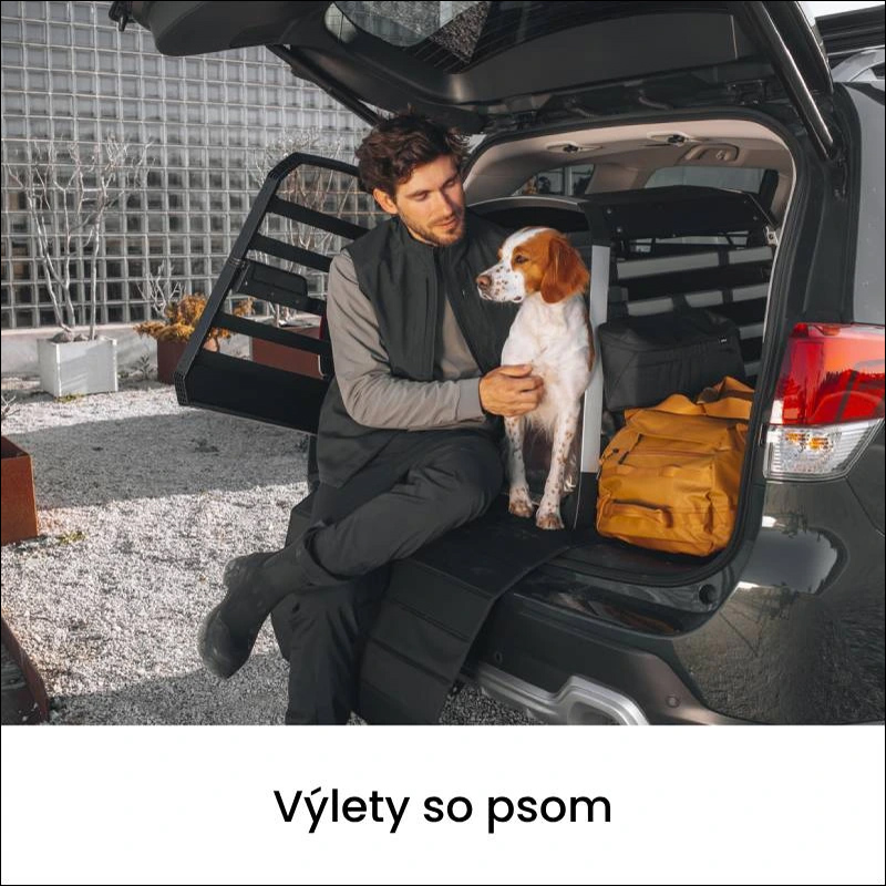 Výlety so psom